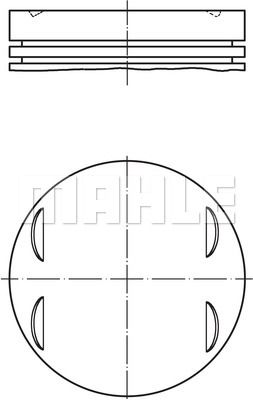 WILMINK GROUP Männät WG1213505